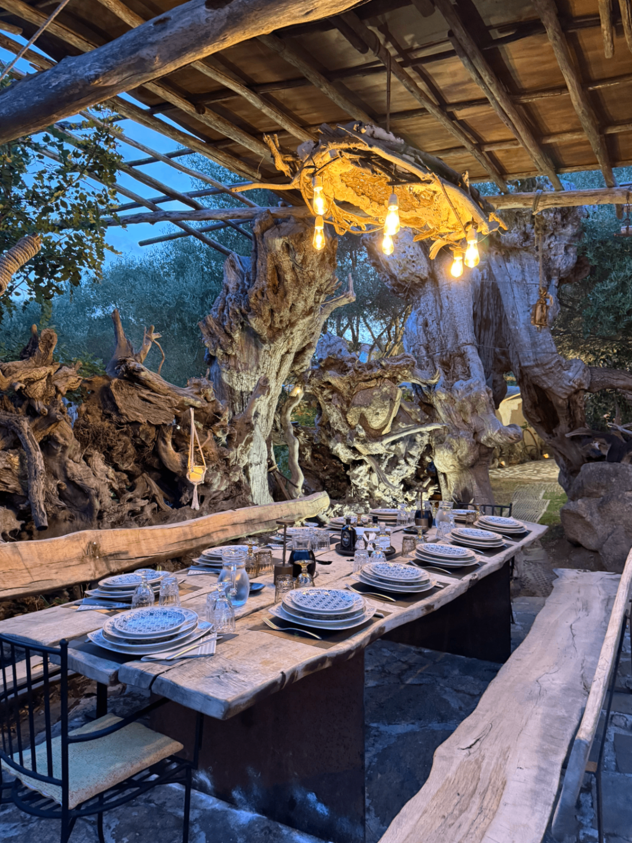Convitio private dinner in a rustic outdoor setting